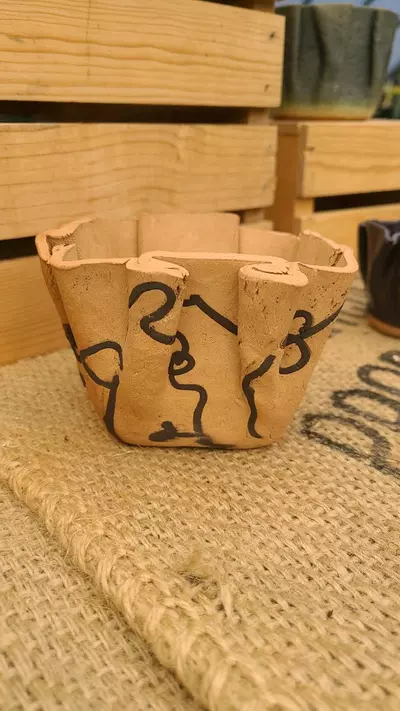 plant/Pot C8 - Eric pots-0-thumbnail