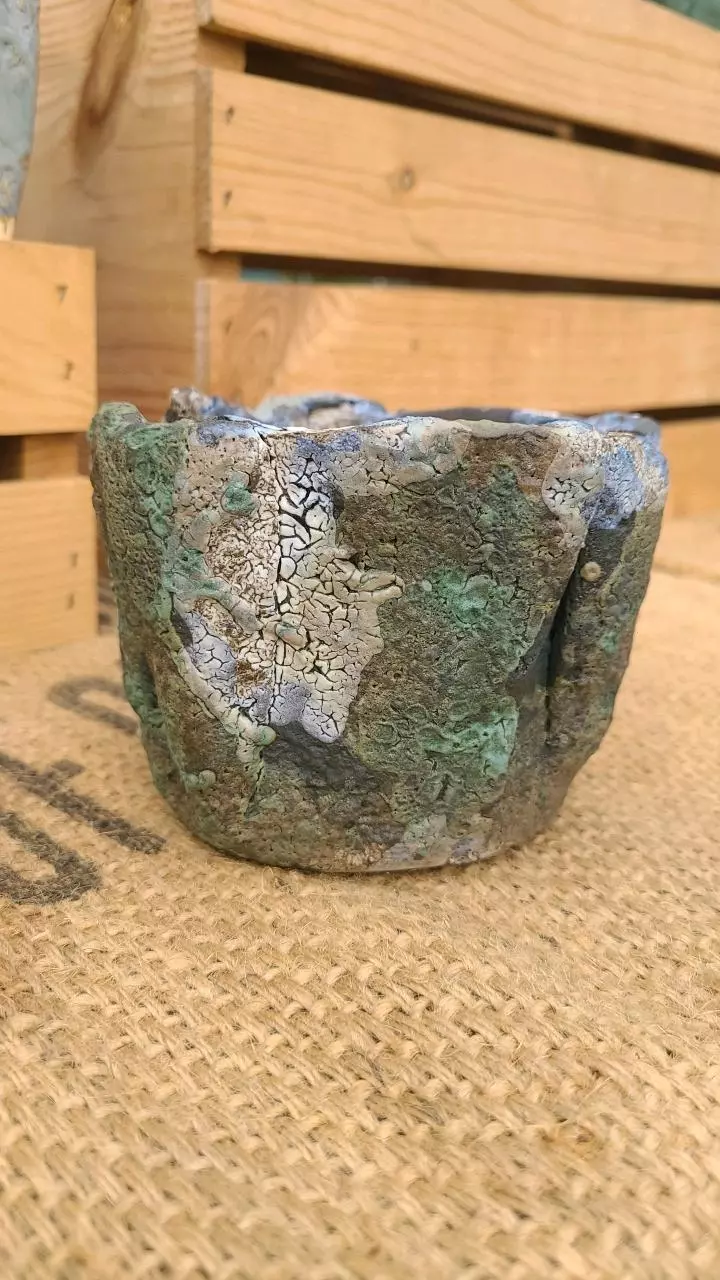 plant/Pot C4 - Eric pots-0