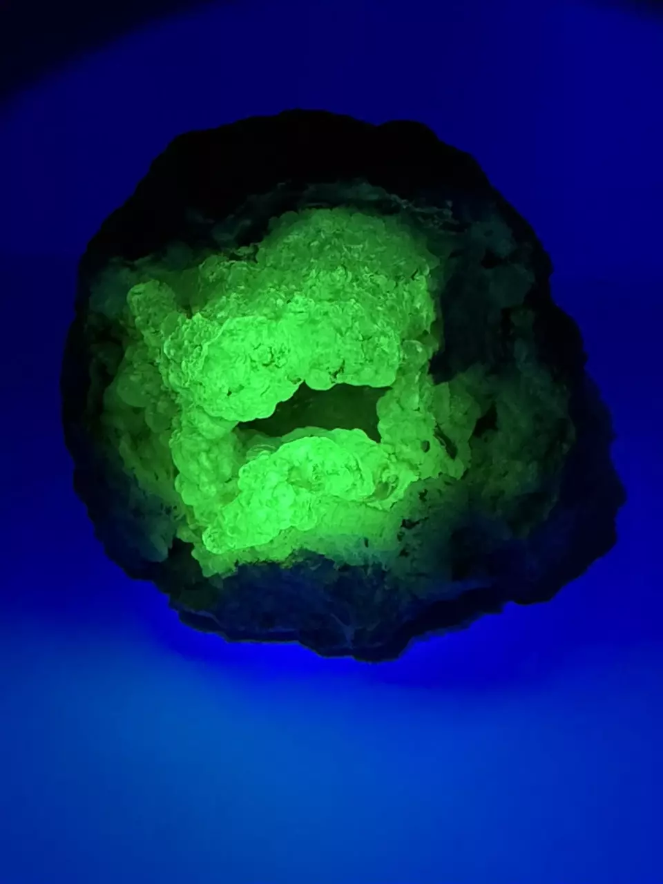 plant/Hyalite Opal Geode UV Reactive-1