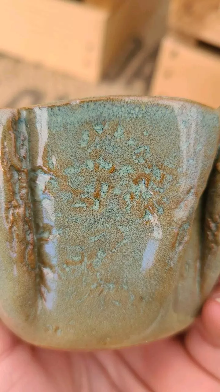 plant/Pot C2 - Eric pots-3