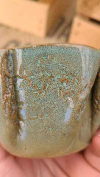 plant/Pot C2 - Eric pots-3-thumbnail