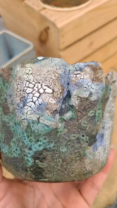 plant/Pot C4 - Eric pots-4-thumbnail