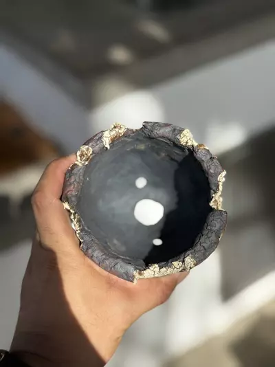 plant/Golden lines footed 4.5x4.5-1-thumbnail