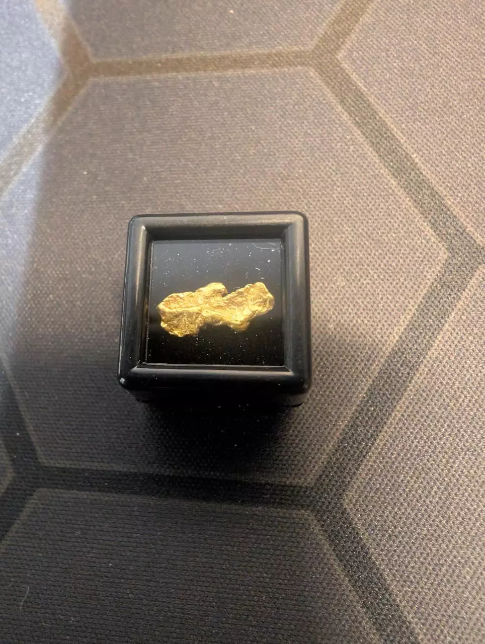 plant/.59 Gram Natural Gold Nugget-0