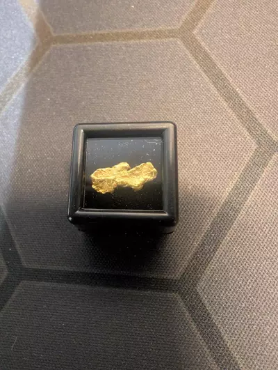 plant/.59 Gram Natural Gold Nugget-0-thumbnail