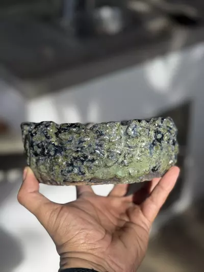 plant/Blackhole bonsai 6.5x5.5x2.5H-0-thumbnail