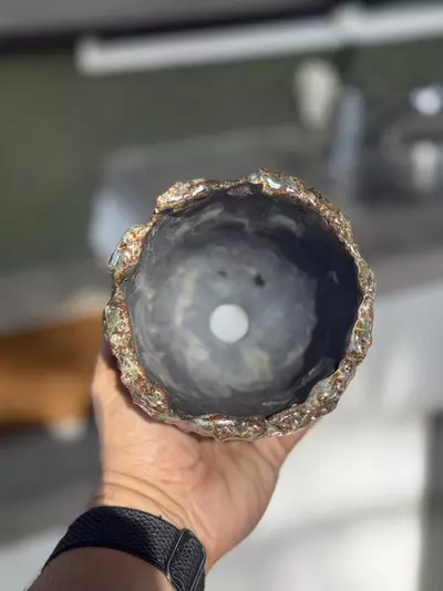 plant/Cosmic footed 4.25x4.25-1-thumbnail