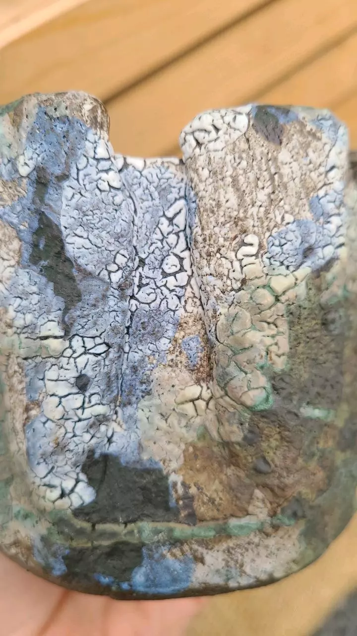 plant/Pot C5 - Eric pots-4