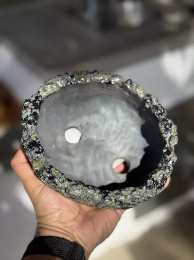 plant/Blackhole bonsai 6.5x5.5x2.5H-1-thumbnail