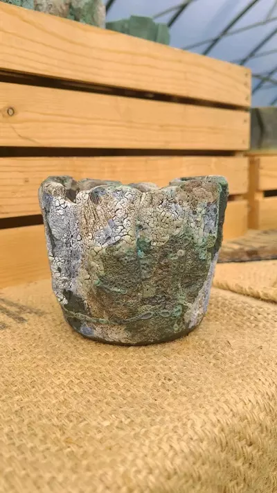 plant/Pot C5 - Eric pots-0-thumbnail