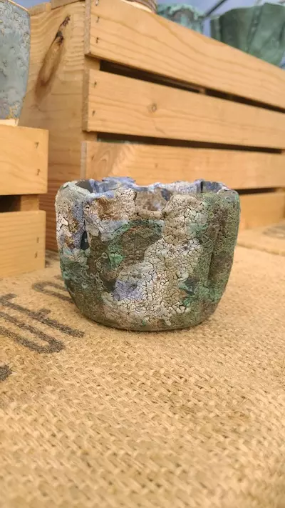 plant/Pot C4 - Eric pots-2-thumbnail