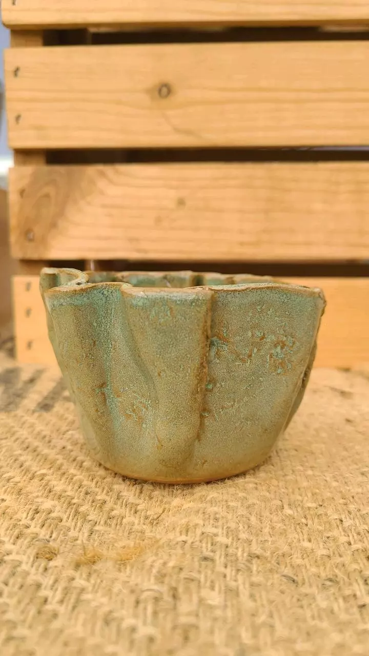 plant/Pot C2 - Eric pots-1