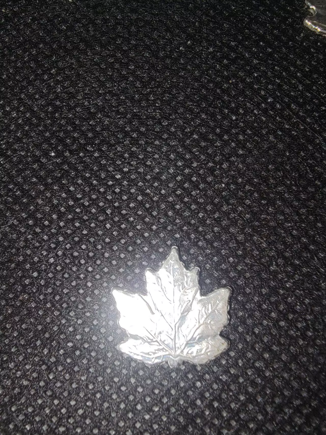 plant/Silver 1 gram Maple Leaf-0