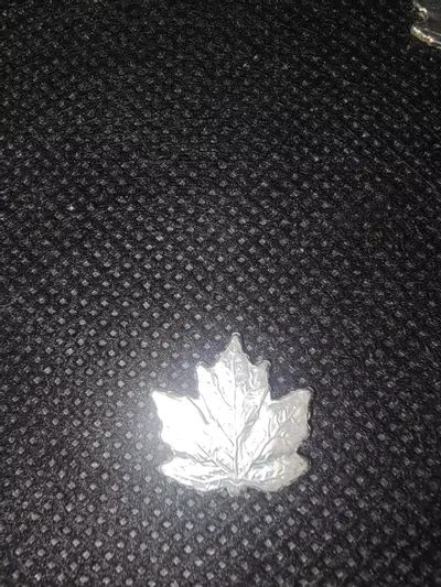 plant/Silver 1 gram Maple Leaf-0-thumbnail