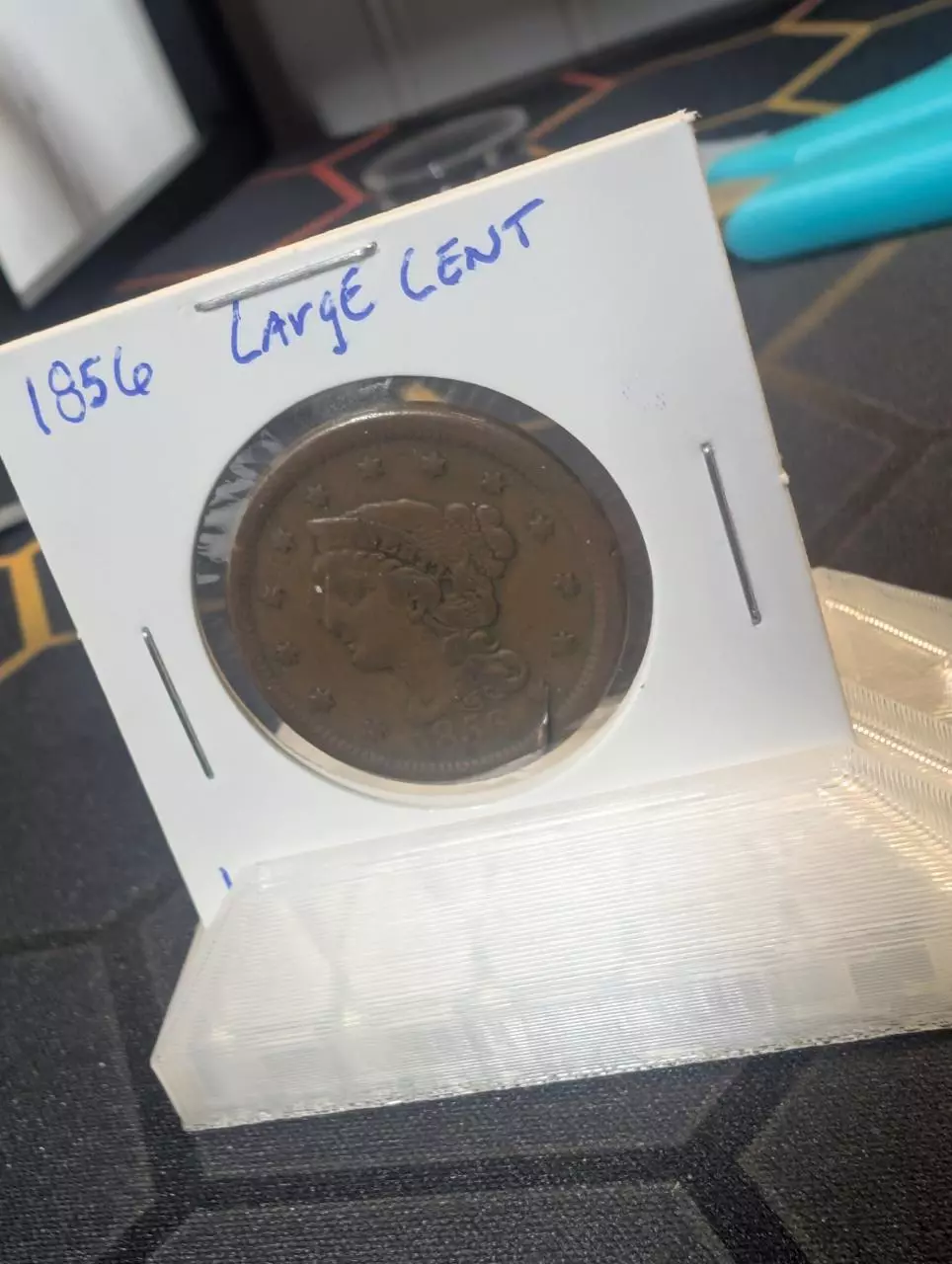 plant/1856 Large Cent-0