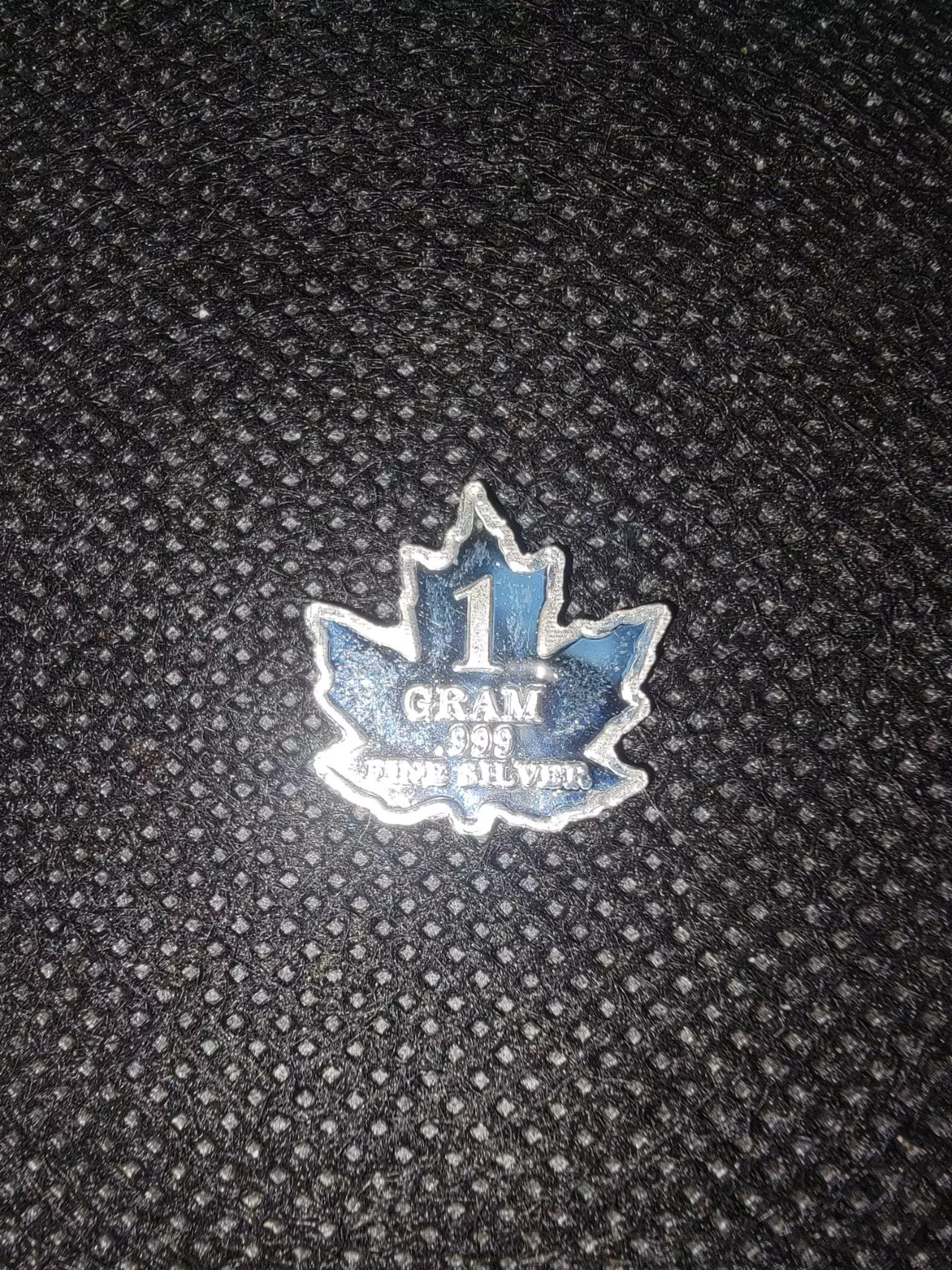 plant/Silver 1 gram Maple Leaf-1
