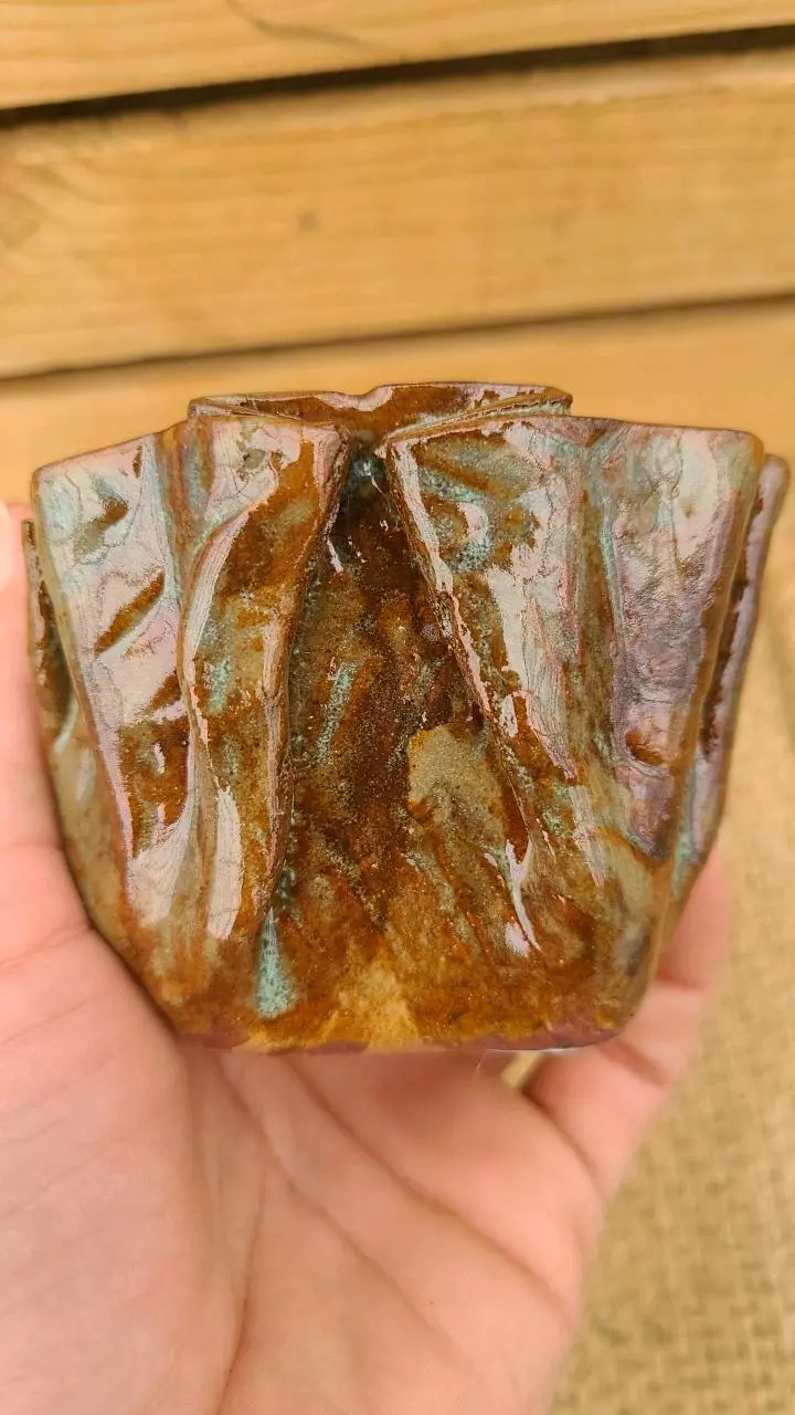 plant/Pot C1 - Eric pots-3