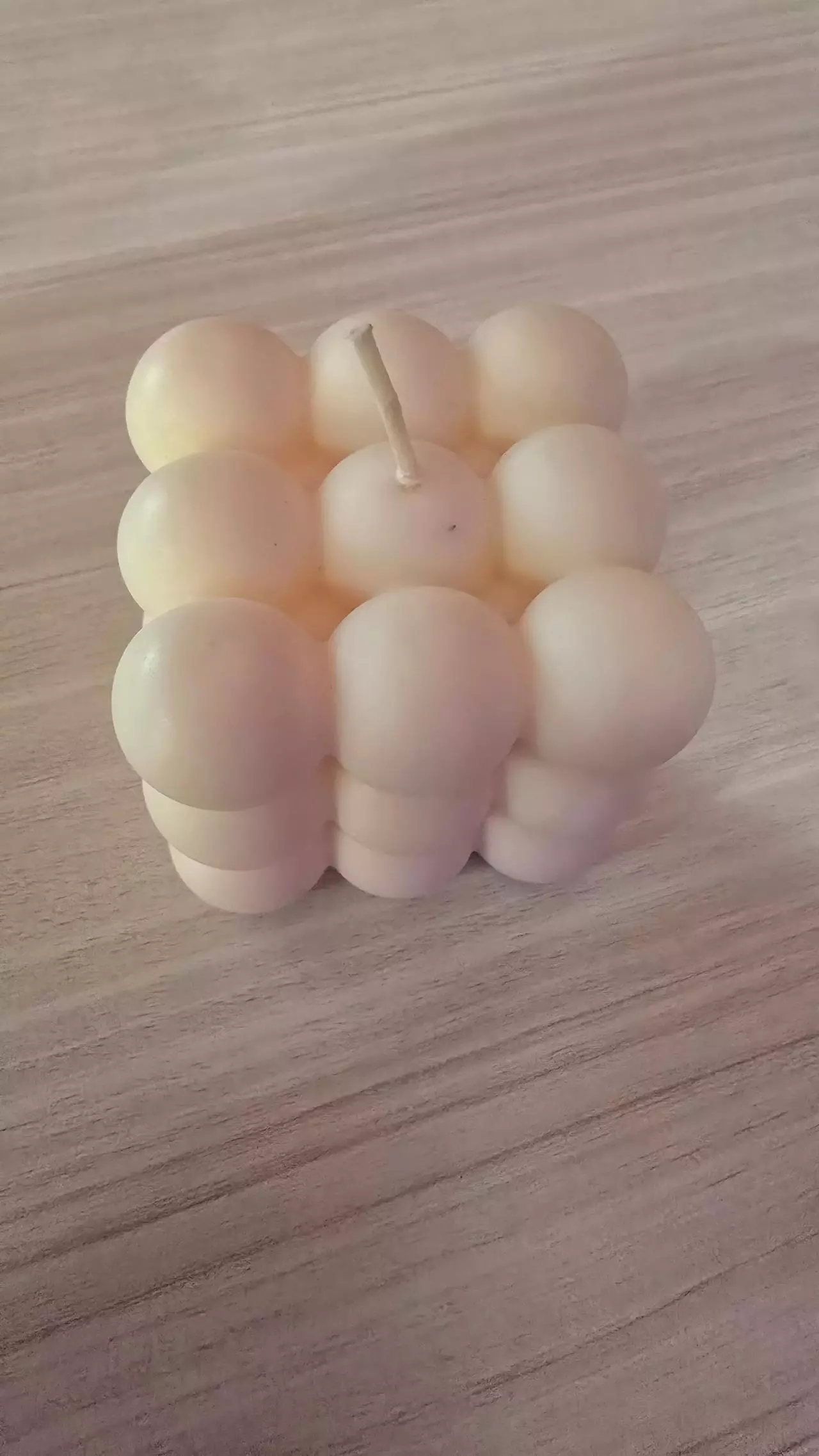 plant/Palo Santo block candle-0