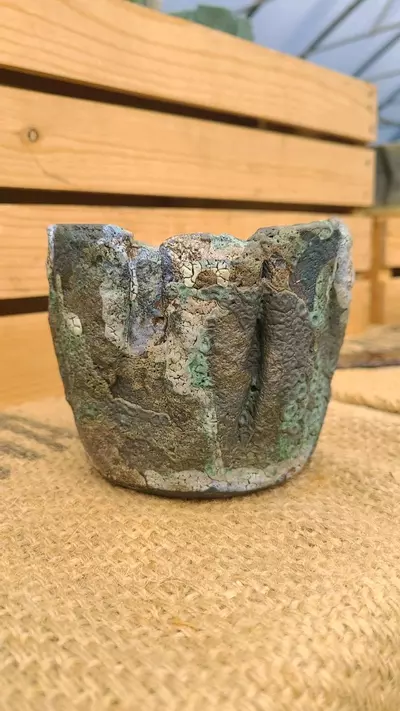 plant/Pot C5 - Eric pots-1-thumbnail