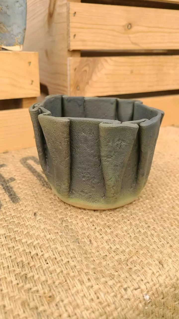 plant/Pot C6 - Eric pots-0