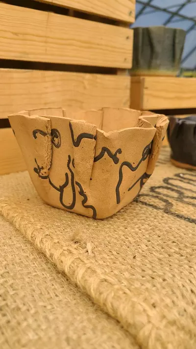 plant/Pot C8 - Eric pots-1-thumbnail