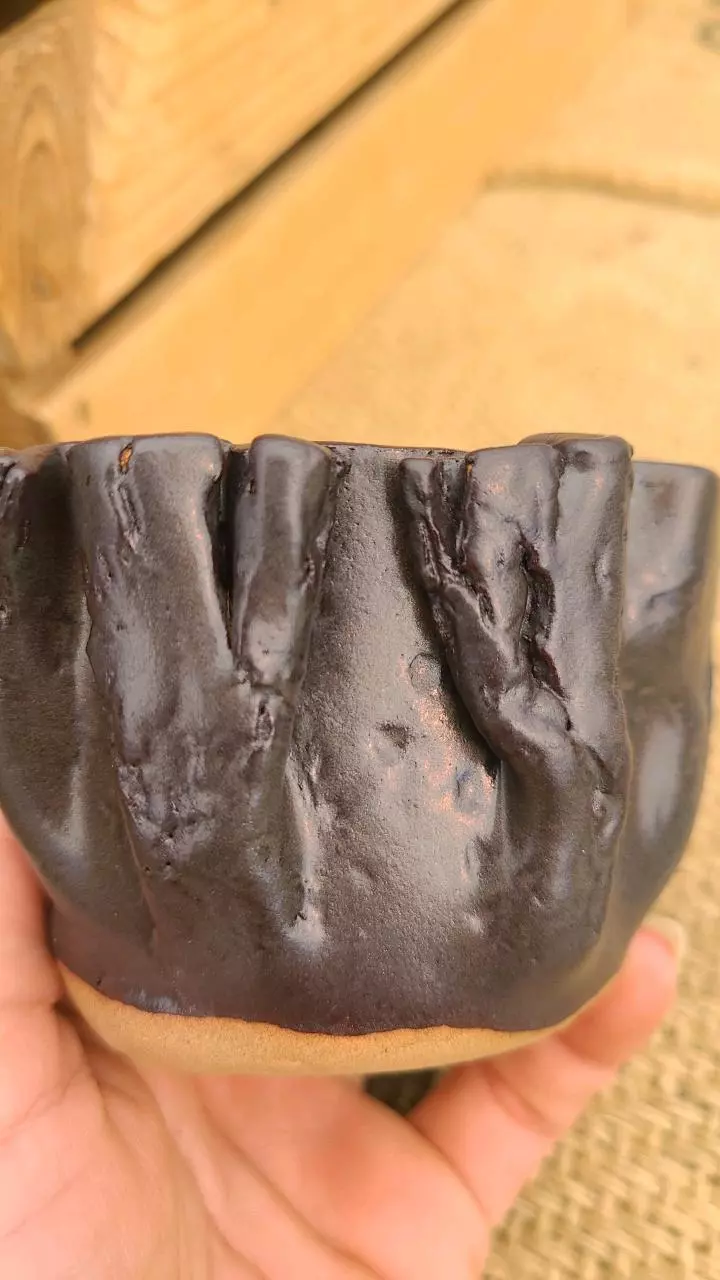 plant/Pot C3 - Eric pots-3