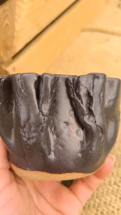 plant/Pot C3 - Eric pots-3-thumbnail