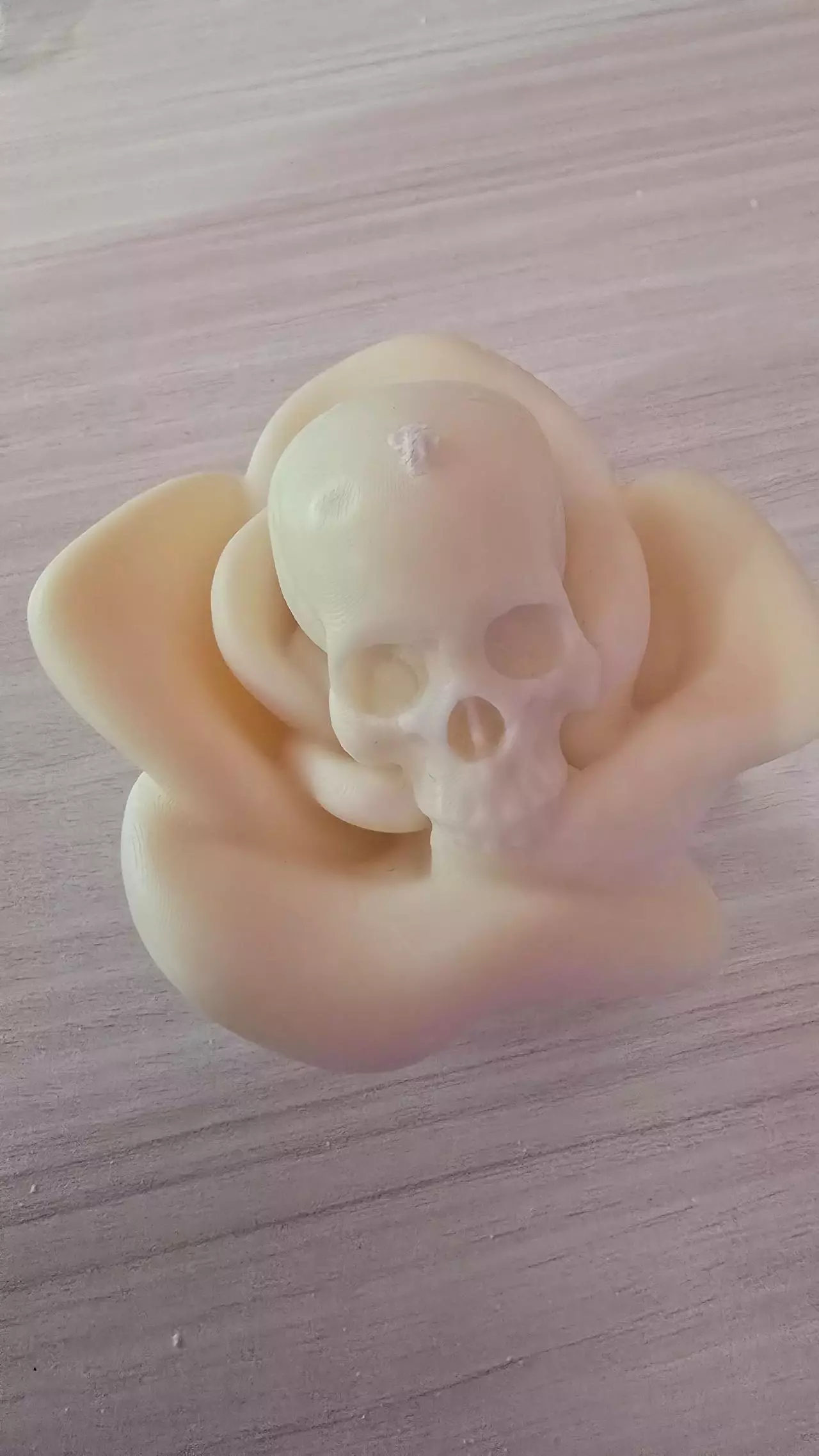 plant/White Sage and Lavender skull rose candle-0