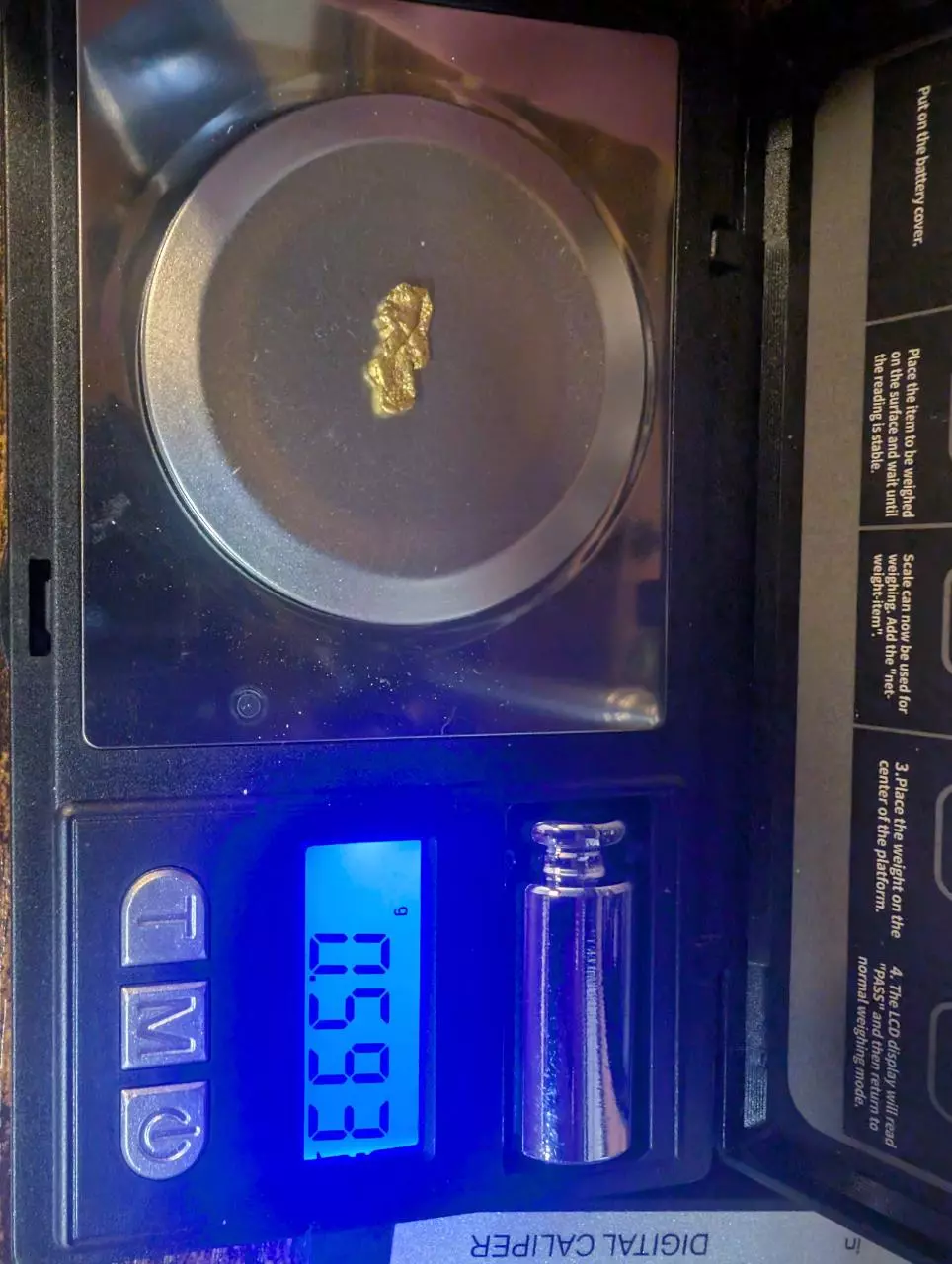 plant/.59 Gram Natural Gold Nugget-3