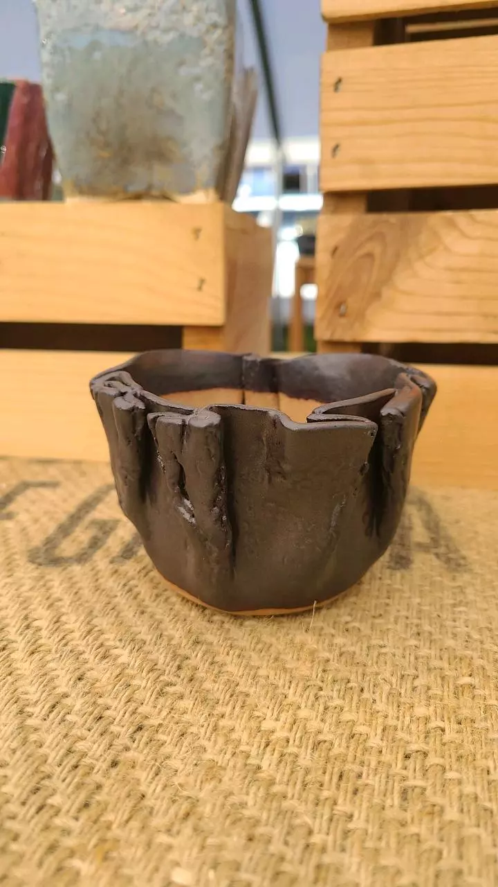 plant/Pot C3 - Eric pots-0