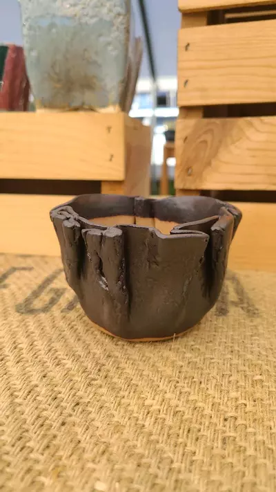 plant/Pot C3 - Eric pots-0-thumbnail