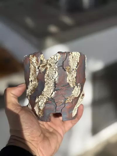 plant/Golden lines footed 4.5x4.5-0-thumbnail