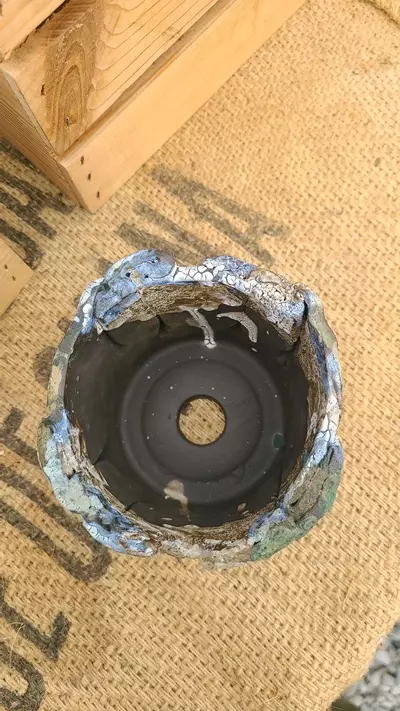 plant/Pot C4 - Eric pots-3-thumbnail