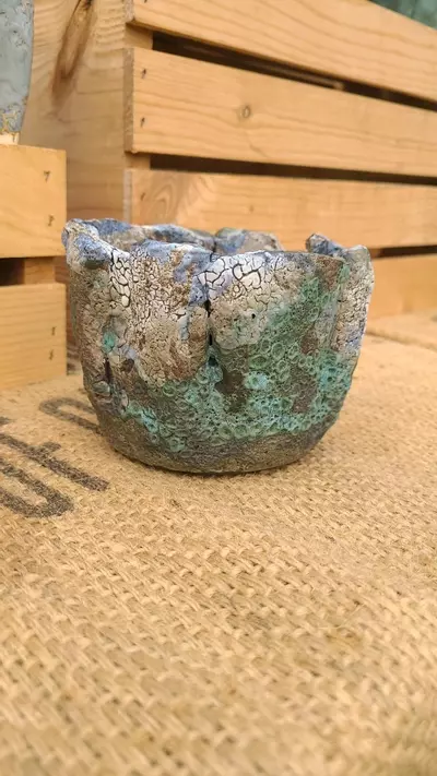 plant/Pot C4 - Eric pots-1-thumbnail