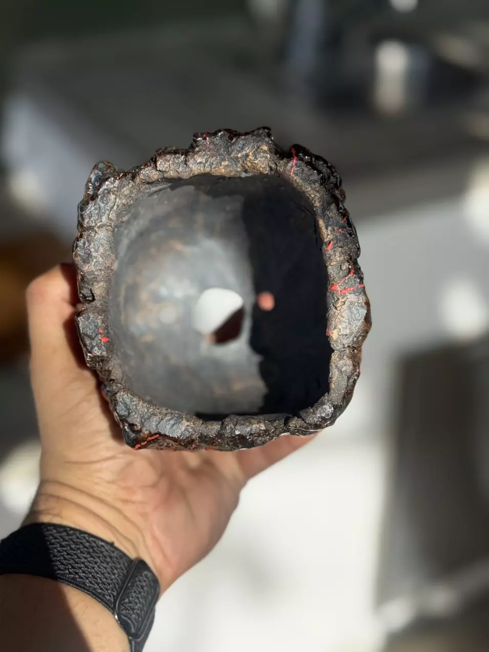 plant/Bloody lichen square footed 4.5x4.25H-1