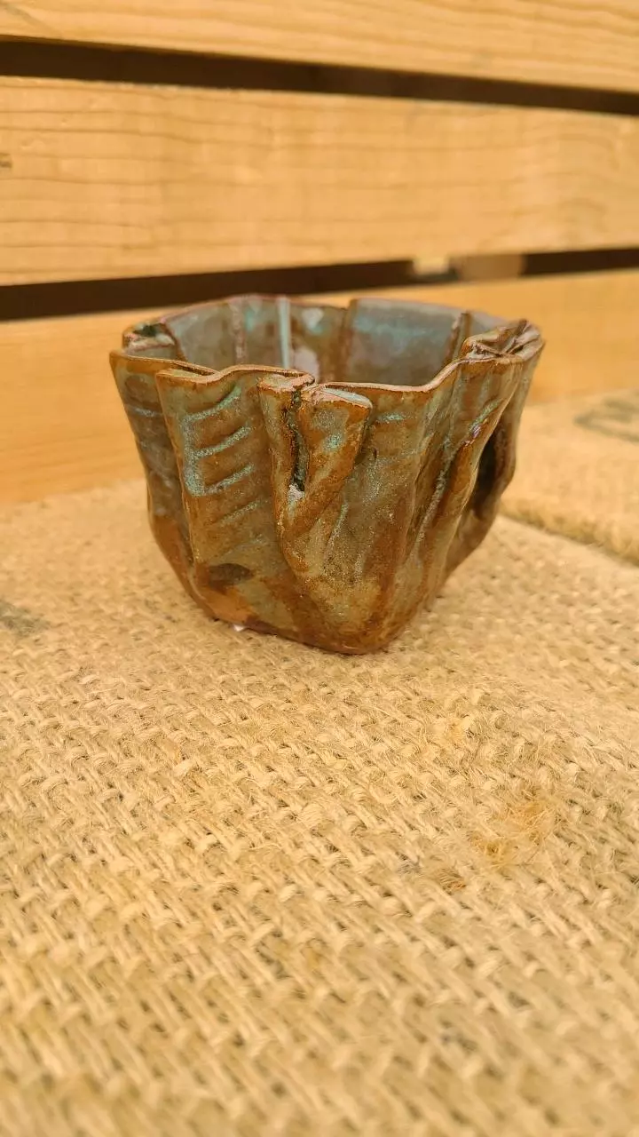 plant/Pot C1 - Eric pots-0