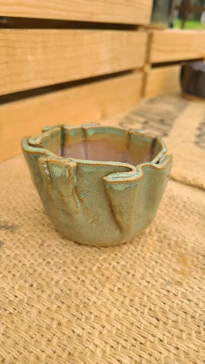 plant/Pot C2 - Eric pots-0