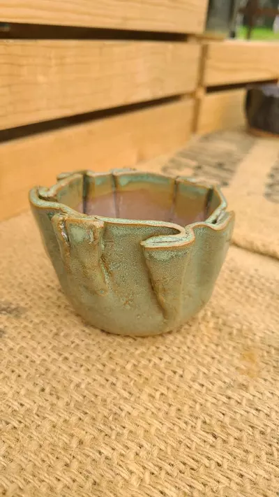 plant/Pot C2 - Eric pots-0-thumbnail