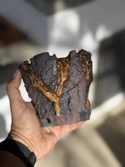 plant/Leopard Lines footed 5x4.5H-0-thumbnail