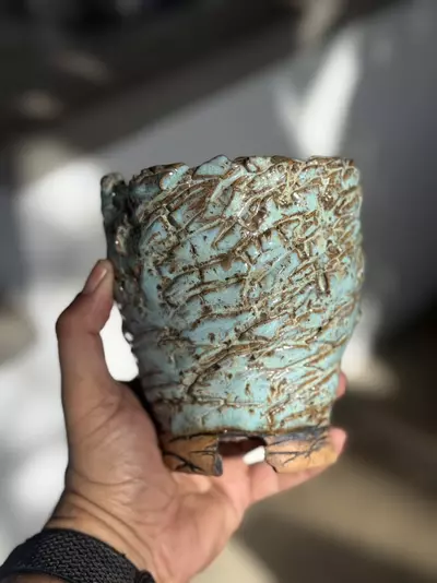 plant/Antique blue footed 5x5.5H-0-thumbnail