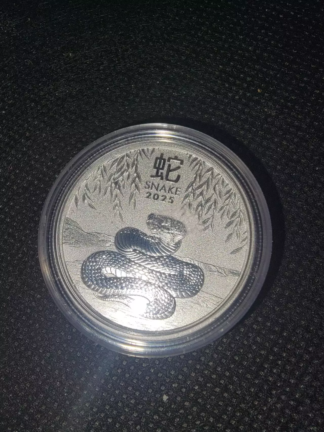 plant/2025 Australia 1/2 oz Silver Lunar Snake capsulated-0