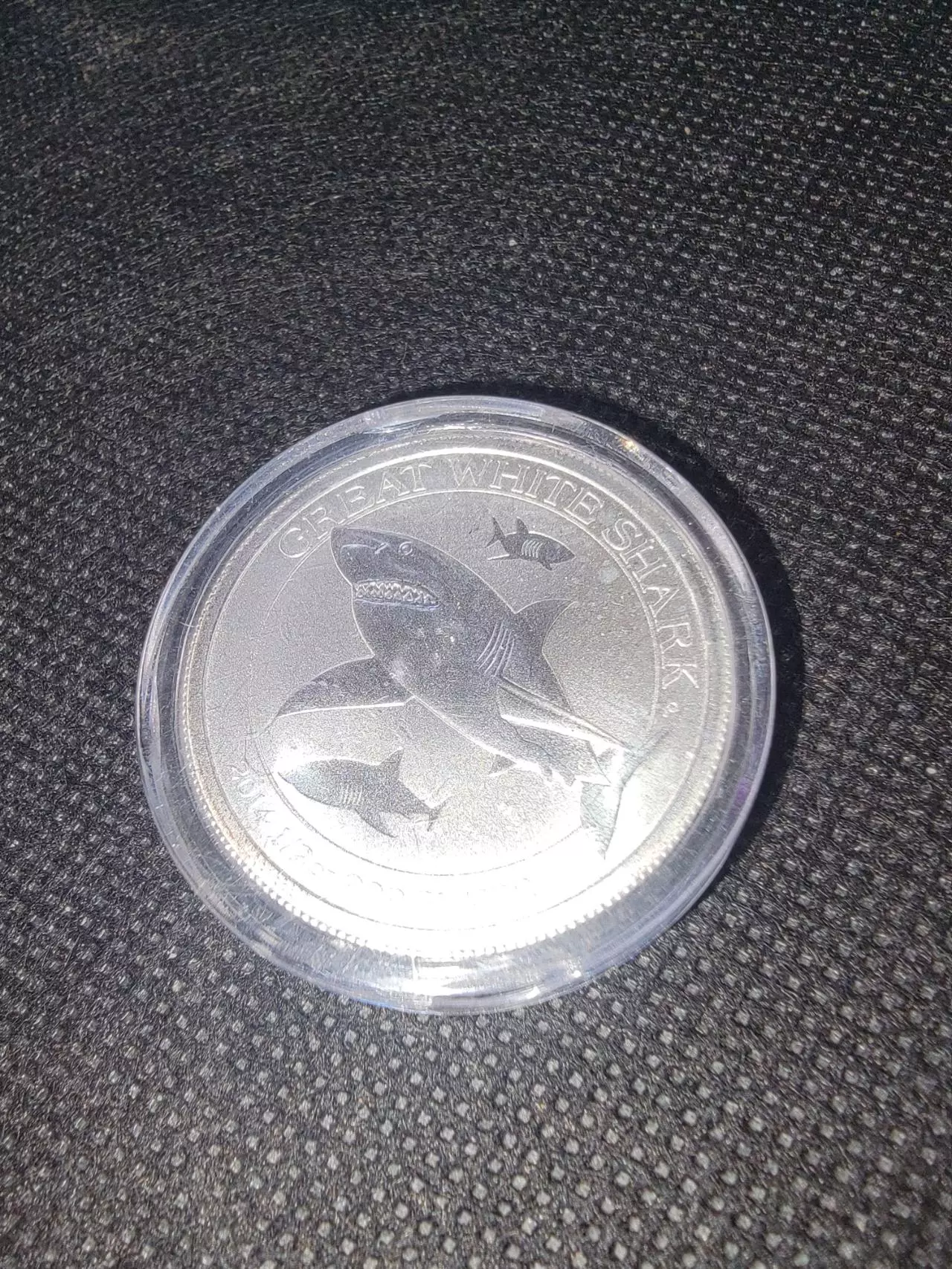 plant/2014 Australia 1/2 oz Silver Great White Shark bullion-0
