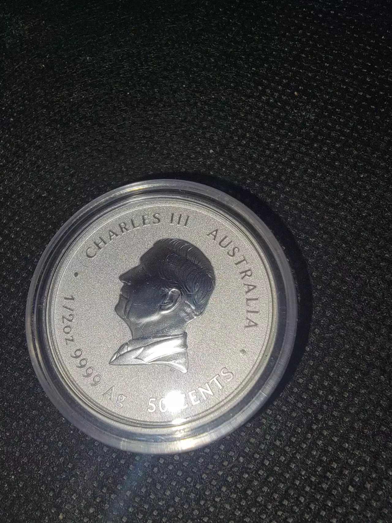 plant/2025 Australia 1/2 oz Silver Lunar Snake capsulated-1