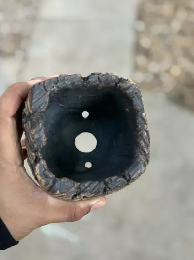 plant/Mud cracks footed 4x5H-1-thumbnail