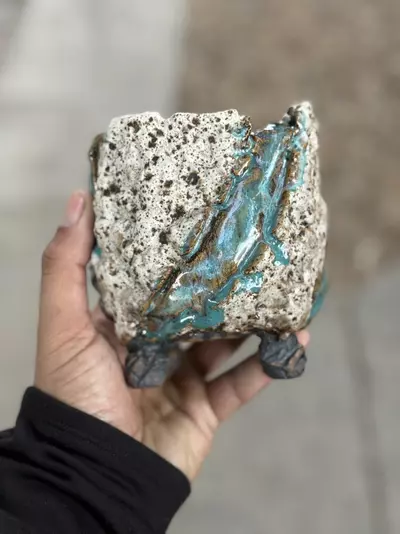 plant/Peacock square footed 4.25x4.75H-0-thumbnail