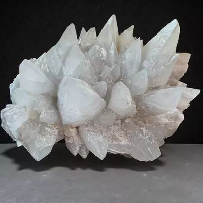 plant/Dogtooth Calcite Mineral Specimen Large-1-thumbnail