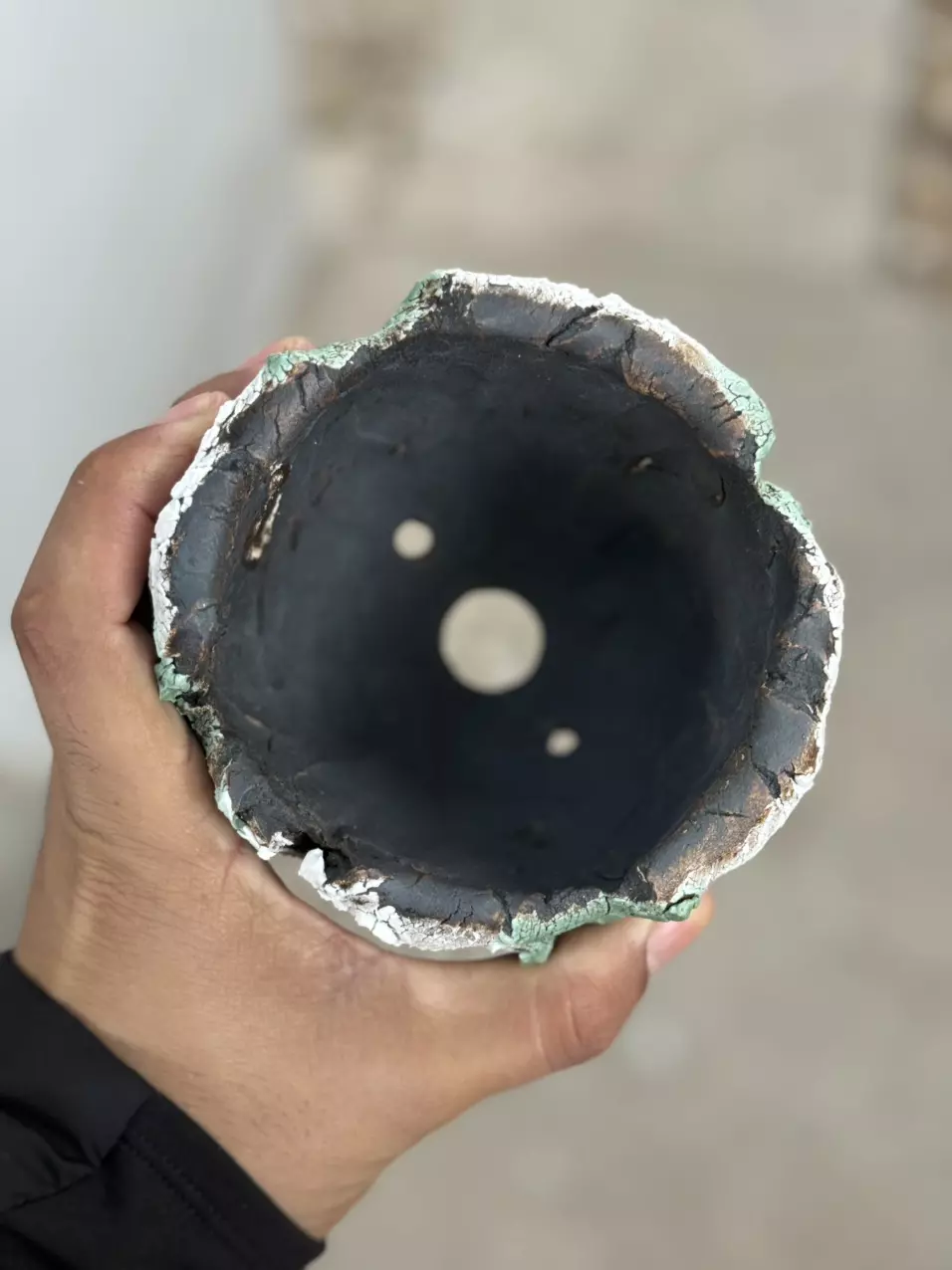 plant/Tiffany coconut Footed 4.5x4.5-1