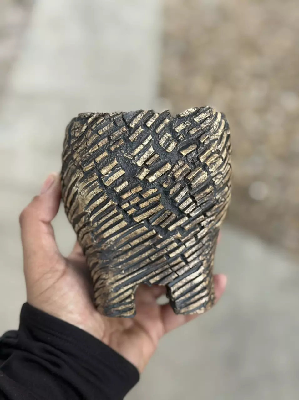 plant/Mud cracks footed 4x5H-0