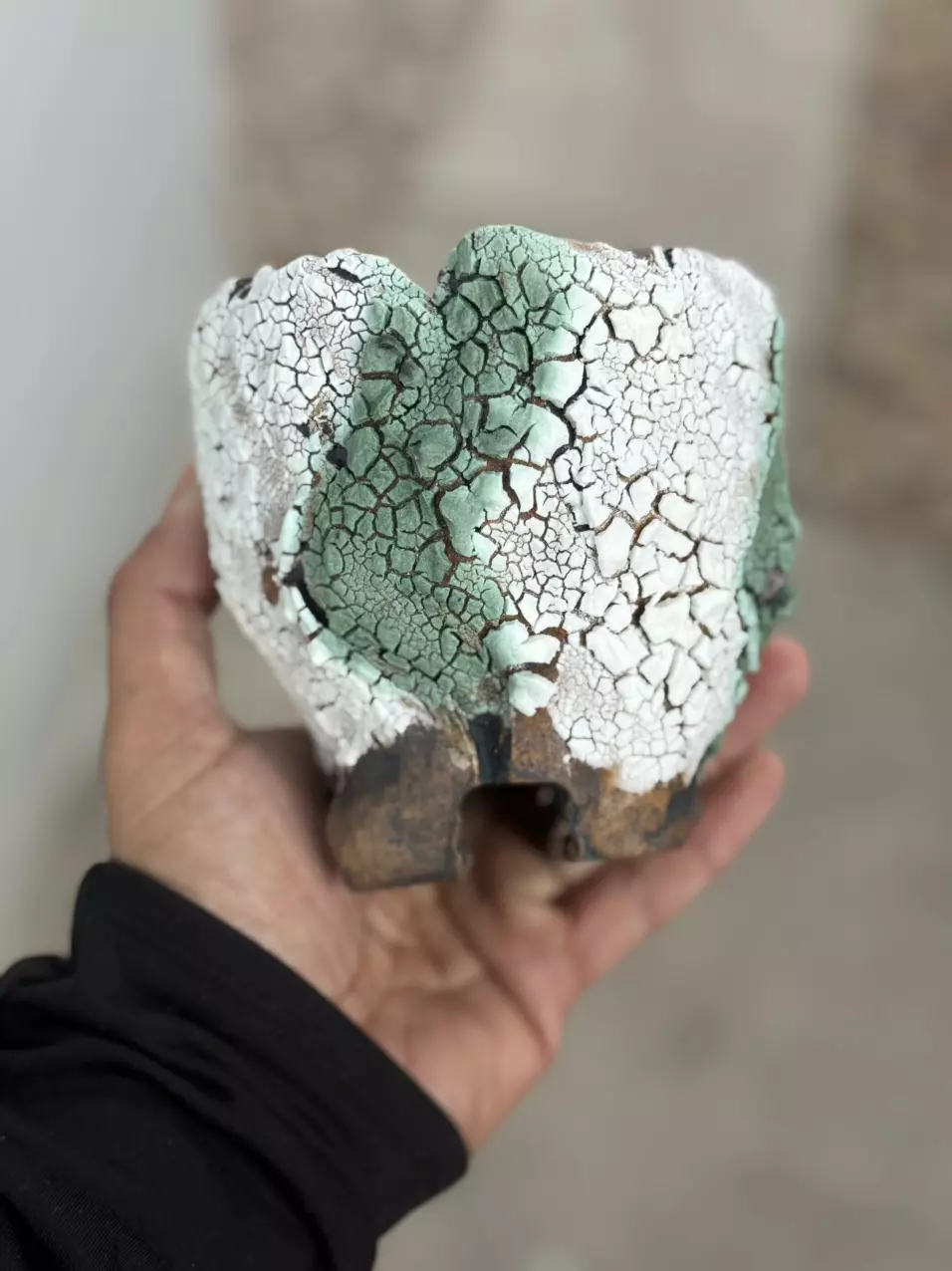 plant/Tiffany coconut Footed 4.5x4.5-0