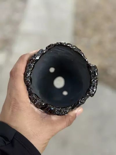 plant/Root beer 4x3.75H-1-thumbnail